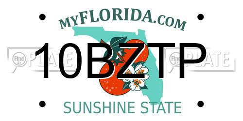 10BZTP Florida License Plate