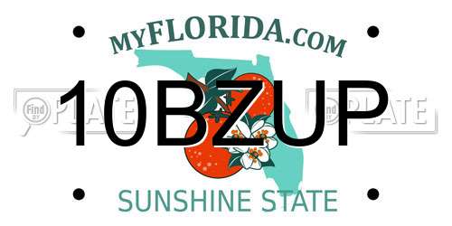 10BZUP Florida License Plate