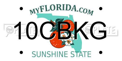 10CBKG Florida License Plate