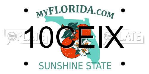 10CEIX Florida License Plate