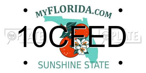 10CFED Florida License Plate