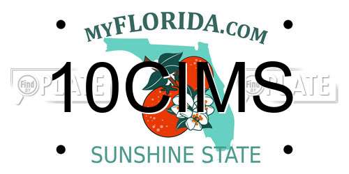 10CIMS Florida License Plate