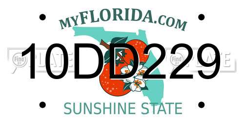 10DD229 Florida License Plate
