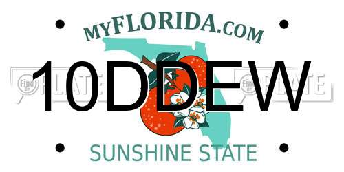 10DDEW Florida License Plate