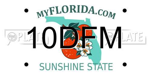 10DFM Florida License Plate