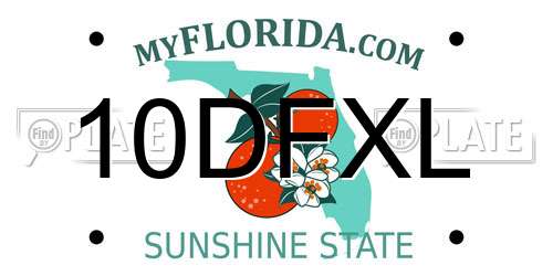 10DFXL Florida License Plate