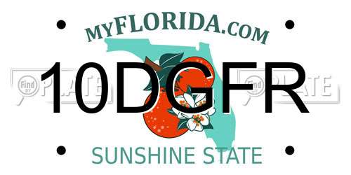 10DGFR Florida License Plate