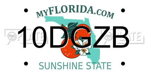 10DGZB Florida License Plate