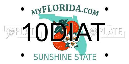 10DIAT Florida License Plate
