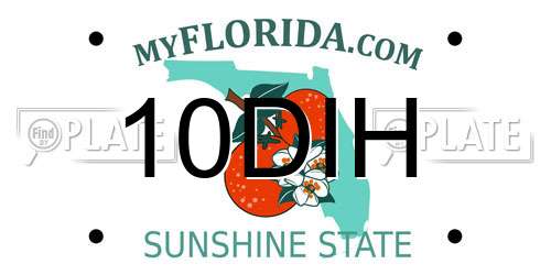 10DIH Florida License Plate
