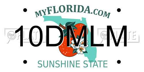 10DMLM Florida License Plate