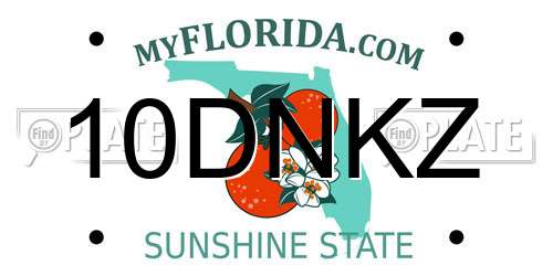 10DNKZ Florida License Plate