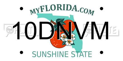10DNVM Florida License Plate