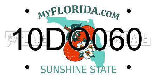 10DO060 Florida License Plate