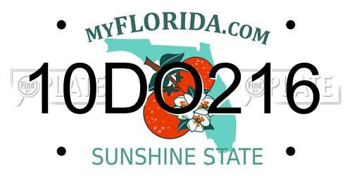 10DO216 Florida License Plate