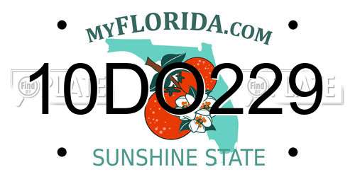 10DO229 Florida License Plate