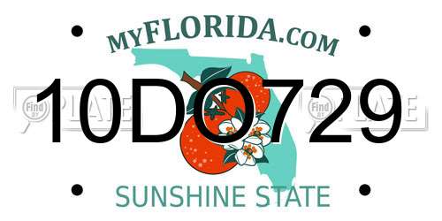 10DO729 Florida License Plate