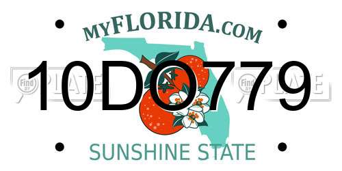 10DO779 Florida License Plate