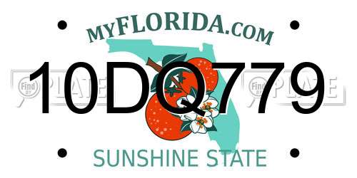 10DQ779 Florida License Plate
