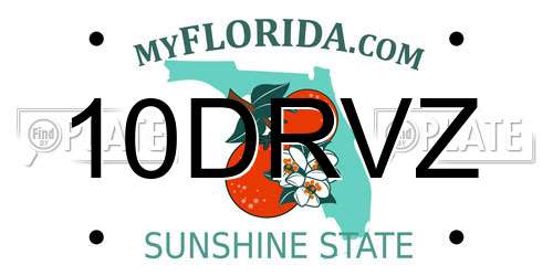 10DRVZ Florida License Plate