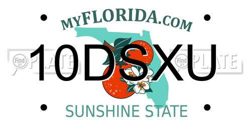 10DSXU Florida License Plate