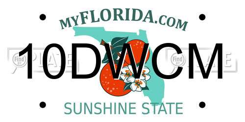 10DWCM Florida License Plate