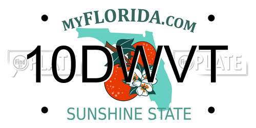 10DWVT Florida License Plate