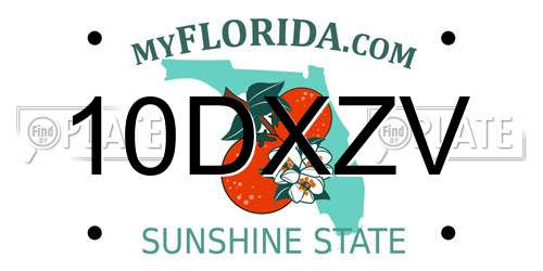 10DXZV Florida License Plate
