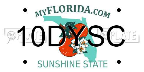 10DYSC Florida License Plate