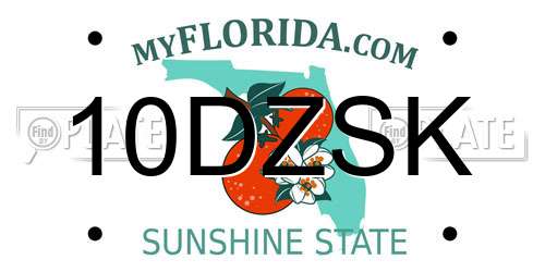 10DZSK Florida License Plate