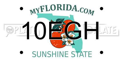 10EGH Florida License Plate