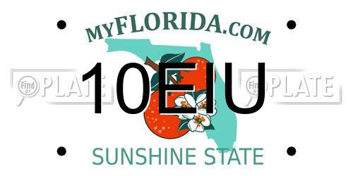 10EIU Florida License Plate