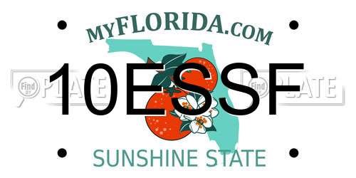 10ESSF Florida License Plate