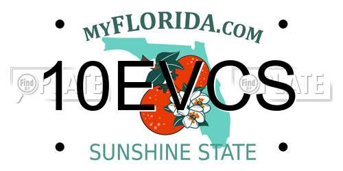 10EVCS Florida License Plate