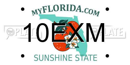 10EXM Florida License Plate