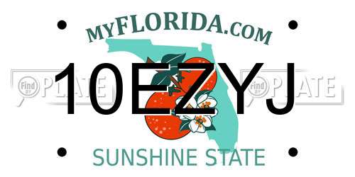 10EZYJ Florida License Plate