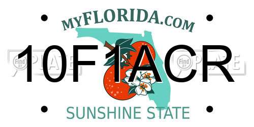10F1ACR Florida License Plate