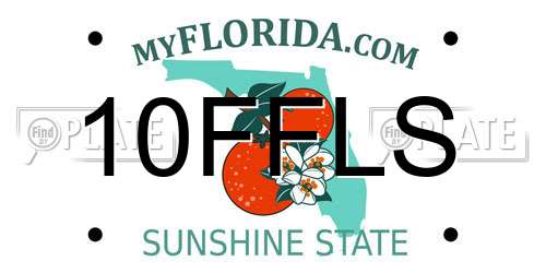 10FFLS Florida License Plate