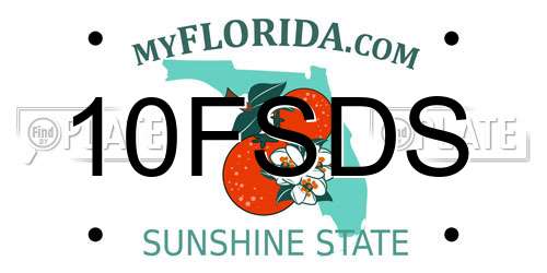 10FSDS Florida License Plate