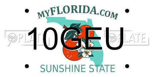 10GEU Florida License Plate