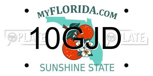 10GJD Florida License Plate