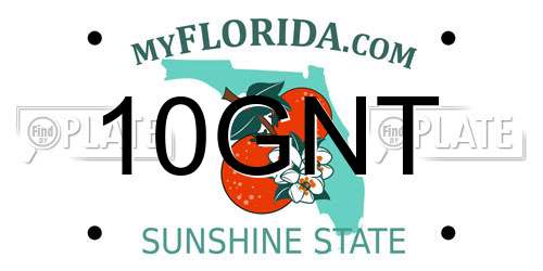 10GNT Florida License Plate
