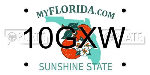 10GXW Florida License Plate