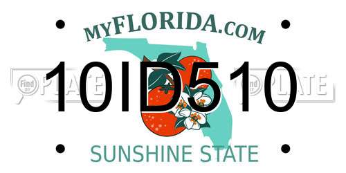 10ID510 Florida License Plate