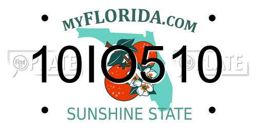 10IO510 Florida License Plate