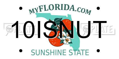 10ISNUT Florida License Plate