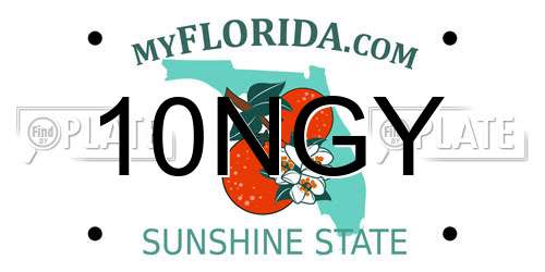 10NGY Florida License Plate