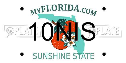 10NIS Florida License Plate