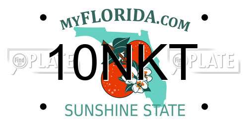10NKT Florida License Plate