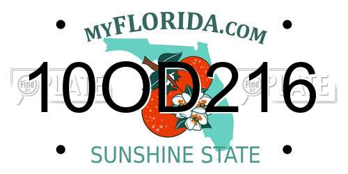 10OD216 Florida License Plate